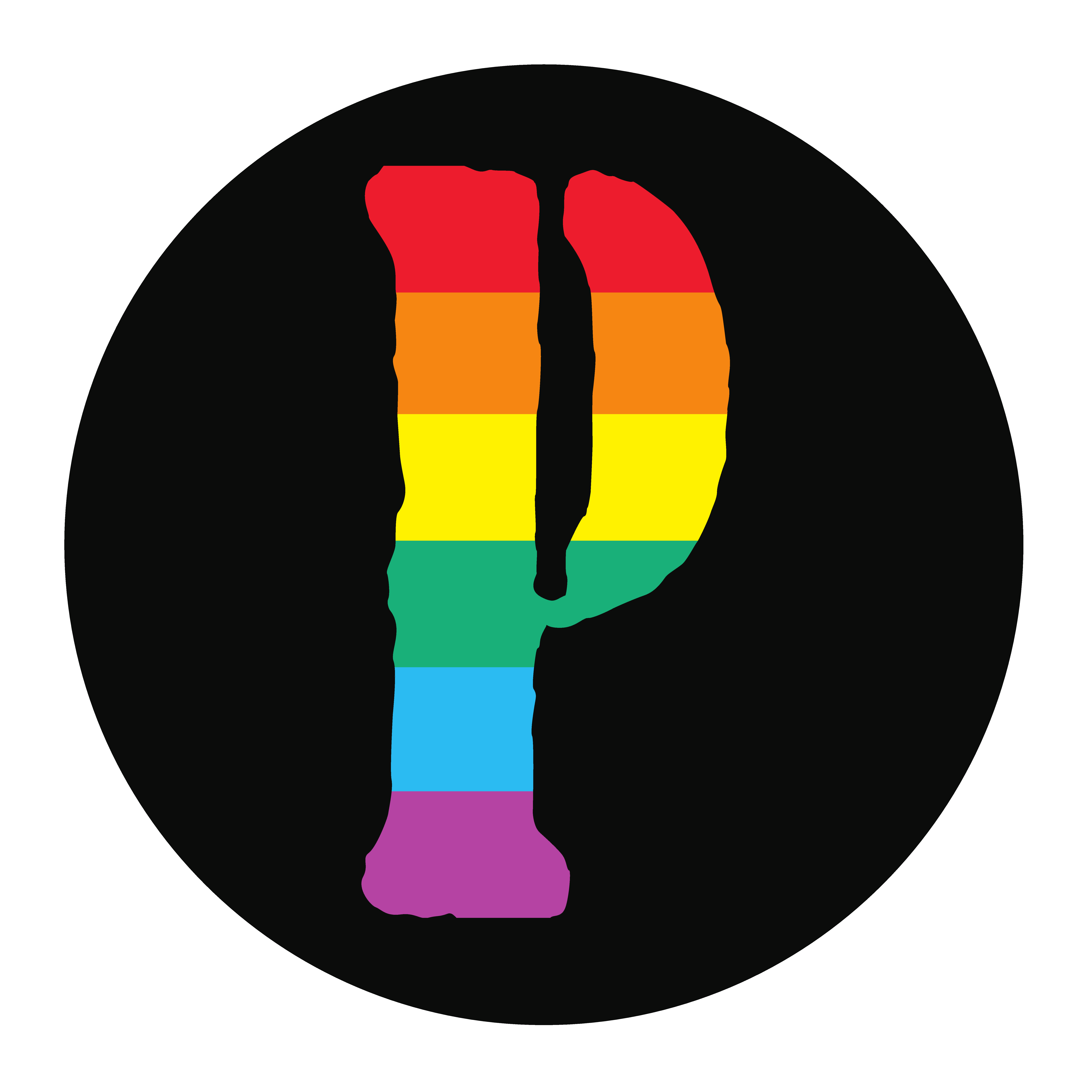 seidt logo